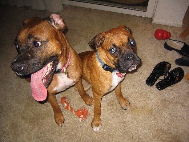 Tess and Conner