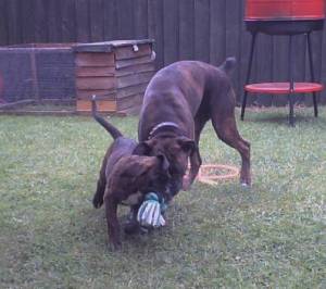 Tess and Mav
