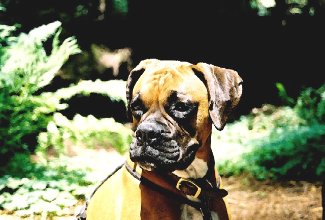 Tessa at Founders Grove