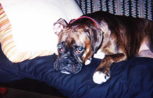 tessa_xmas_2004_3