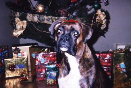 tessa_xmas_2004_4