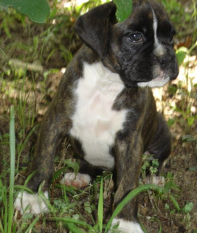 Tessi at 7 weeks
