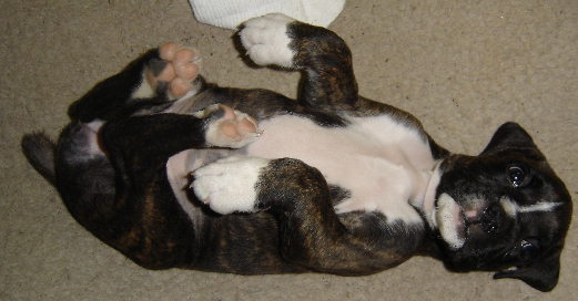 Tessi just waking up at 6 weeks