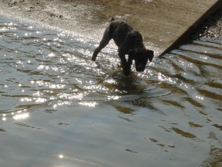 Testing the water
