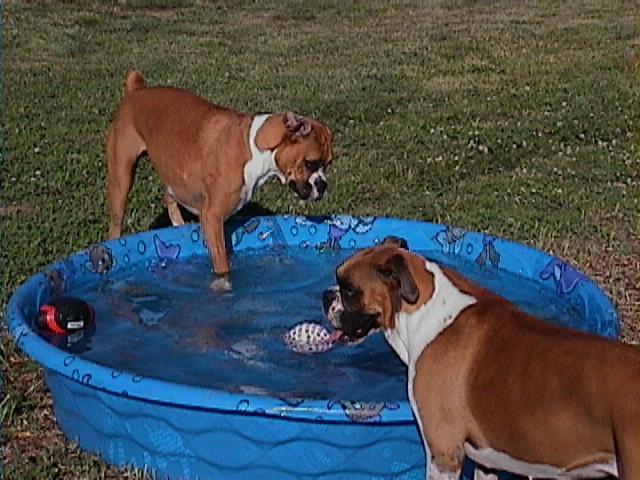 Testing the water