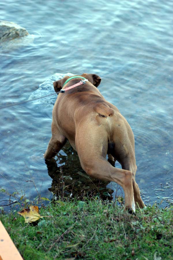 Testing the waters