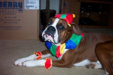 Thank you, Mommy, for the Halloween Costume