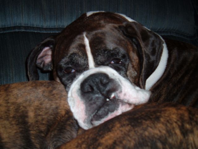 "Thank you very much"