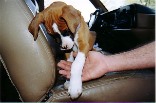 Thanks for picking me up.