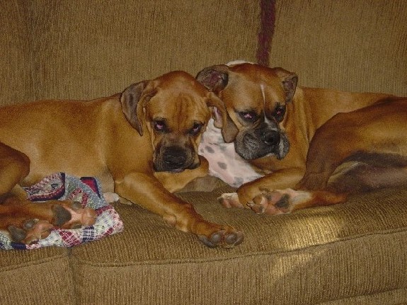 Thanksgiving Sure Is Tiring