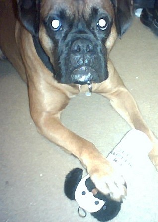 Thanx 4 the toy