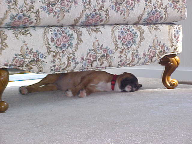 That is it, I need a nap.