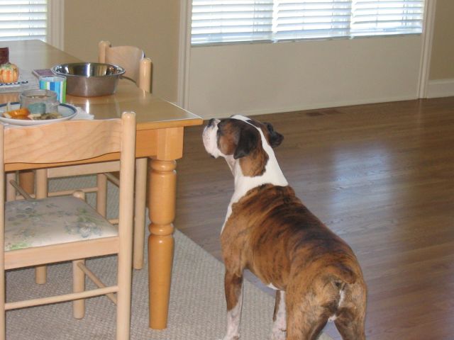 That is my bowl!
