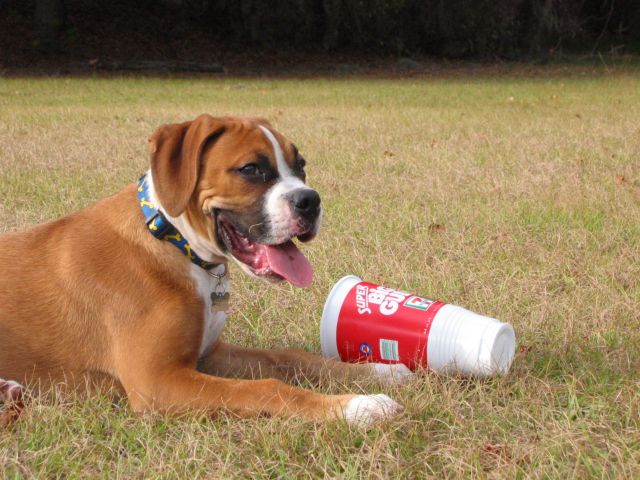That sure was tasty !!