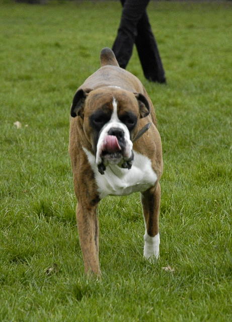 that tongue again