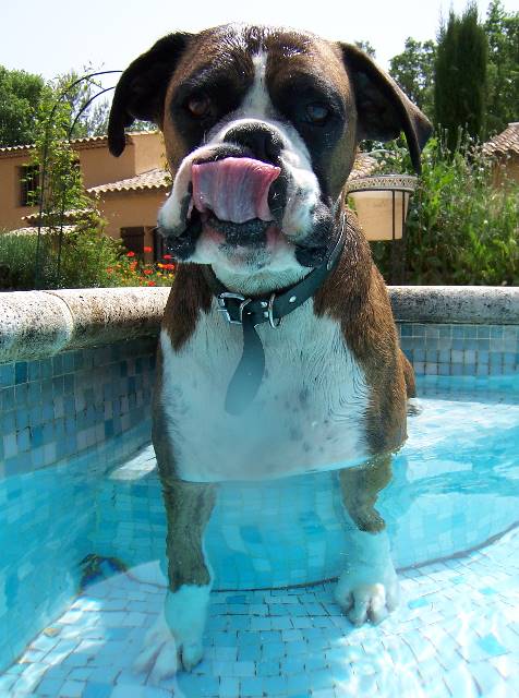 That tongue again