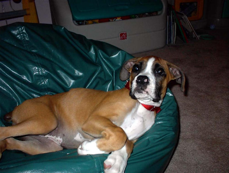 That used to be mine!