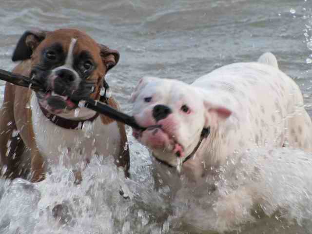 that_s_my_stick1