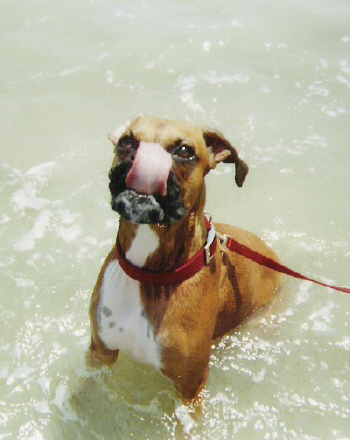 thats a long tongue!