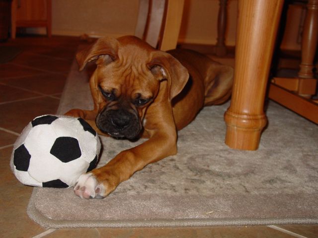 That's enough soccer for now