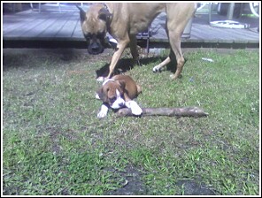 That's mine