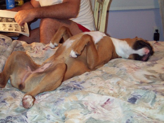 The Art of Relaxation II...