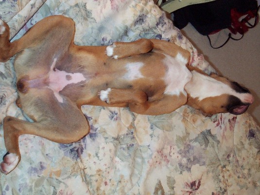 The Art of Relaxation...