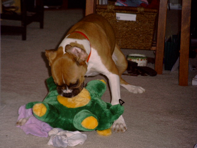 the attack