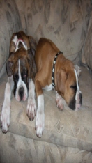 The babies are finally sleeping