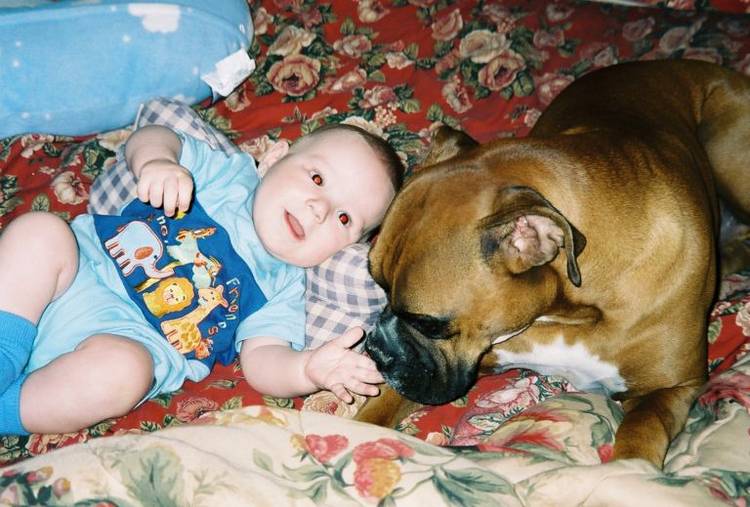 The baby guard.