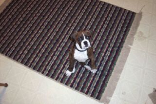 the baby!