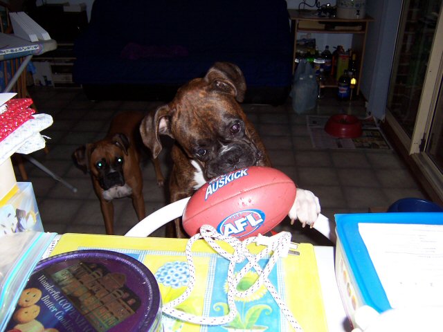 the ball heads