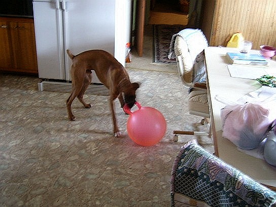 The Ball