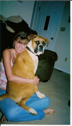 The biggest lap dog