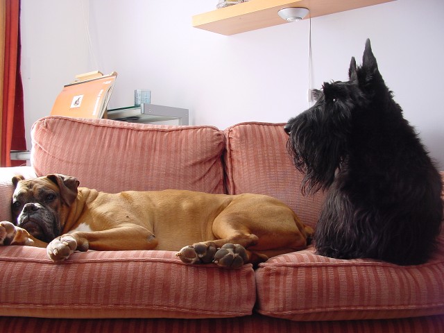 The boys together