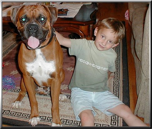 The Boys