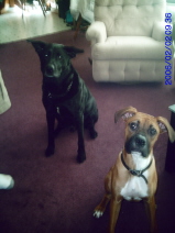 The boys