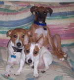 The Bubbas!!