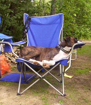 The camping Princess!