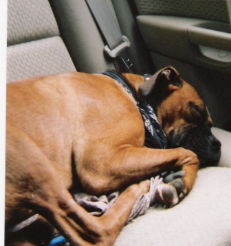 The Car Ride Home