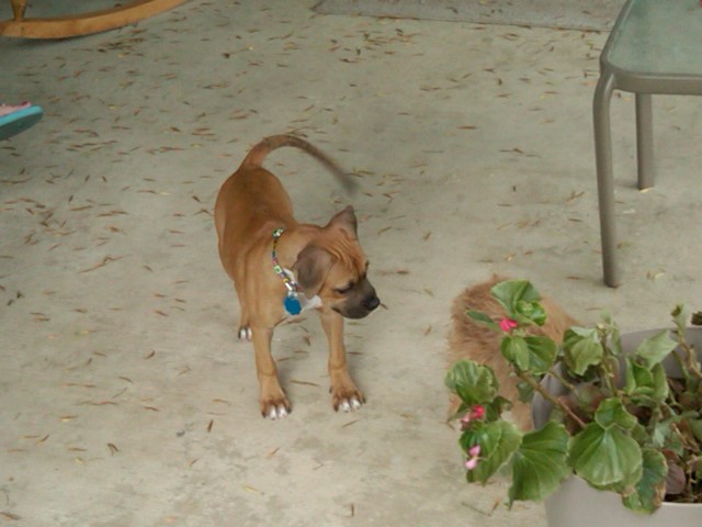 The day I got her