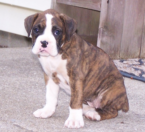 The day we brought her home