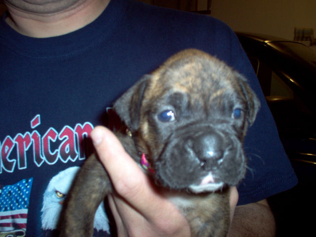 The day we picked Stella