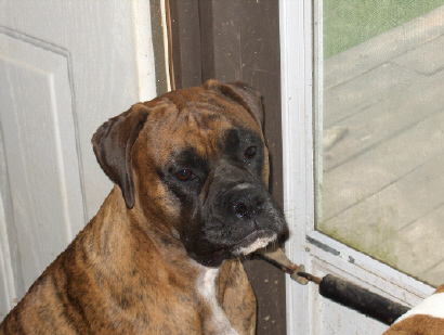 The Door Man
