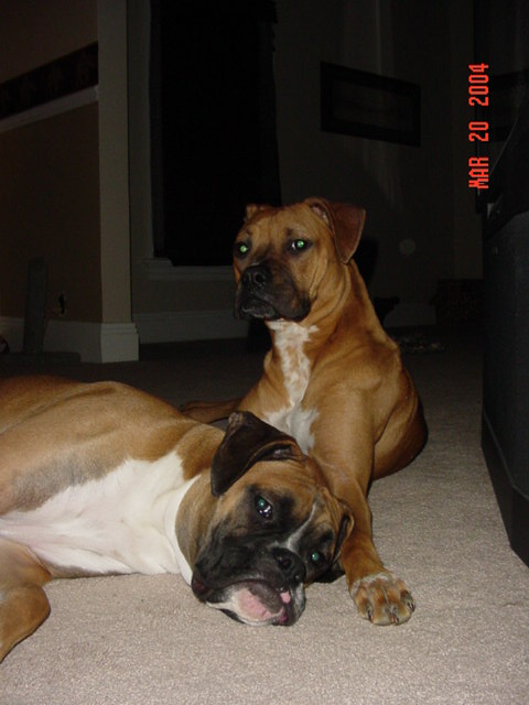 The Duo