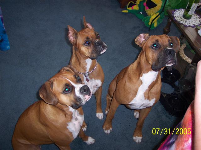 the family photo
