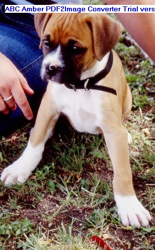 the first day we got Jorja