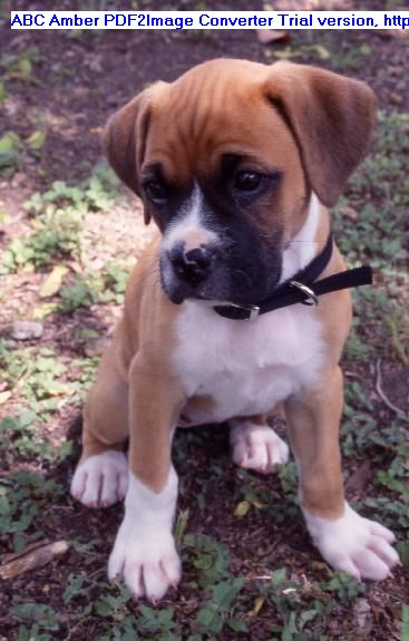 the first day we got Jorja