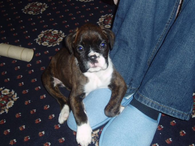 The first day we got our baby, oh how time change!