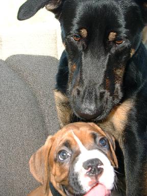 The first meeting
